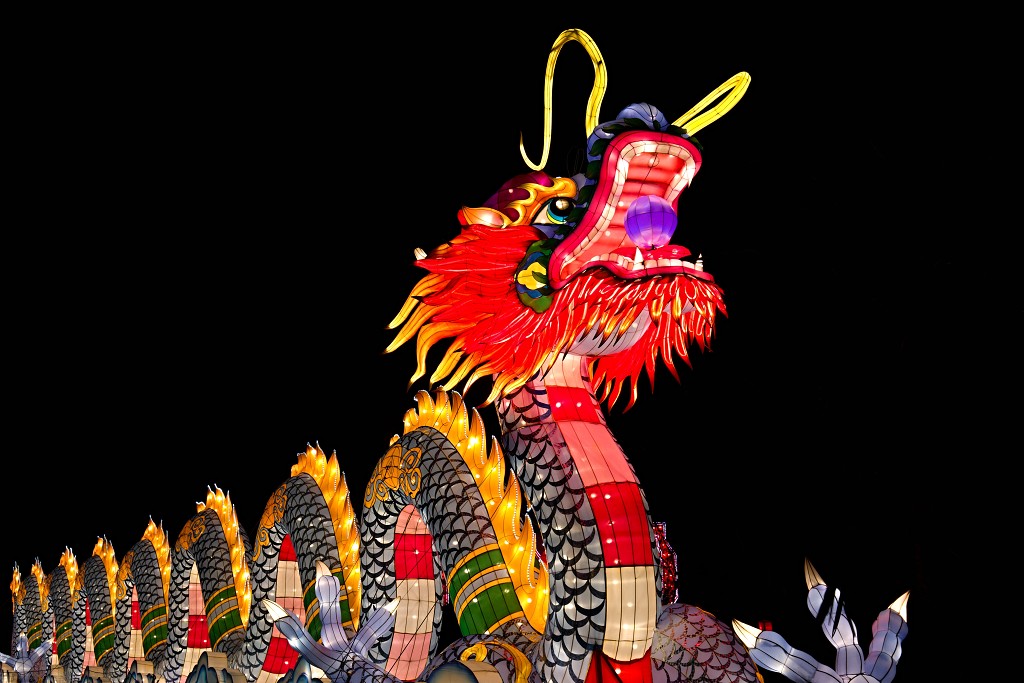 china light licht festival lichtshow show festiviteit glow evenement event chinees chinese verlichting draak dragon lichtfestival zoo